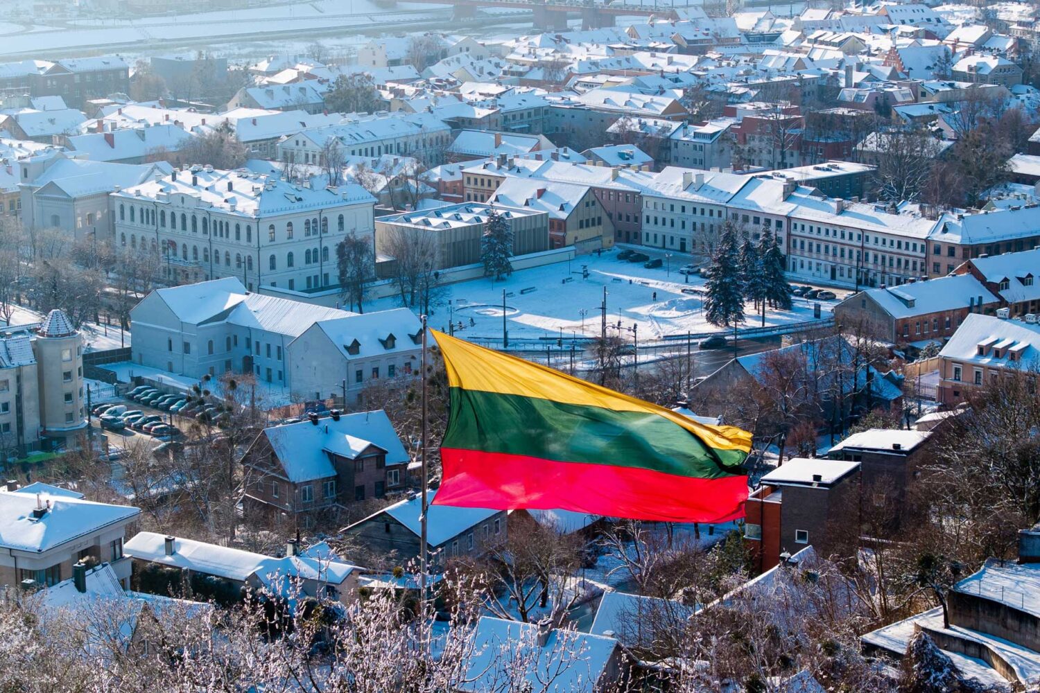 Lithuanian legislation defines several categories of foreign nationals