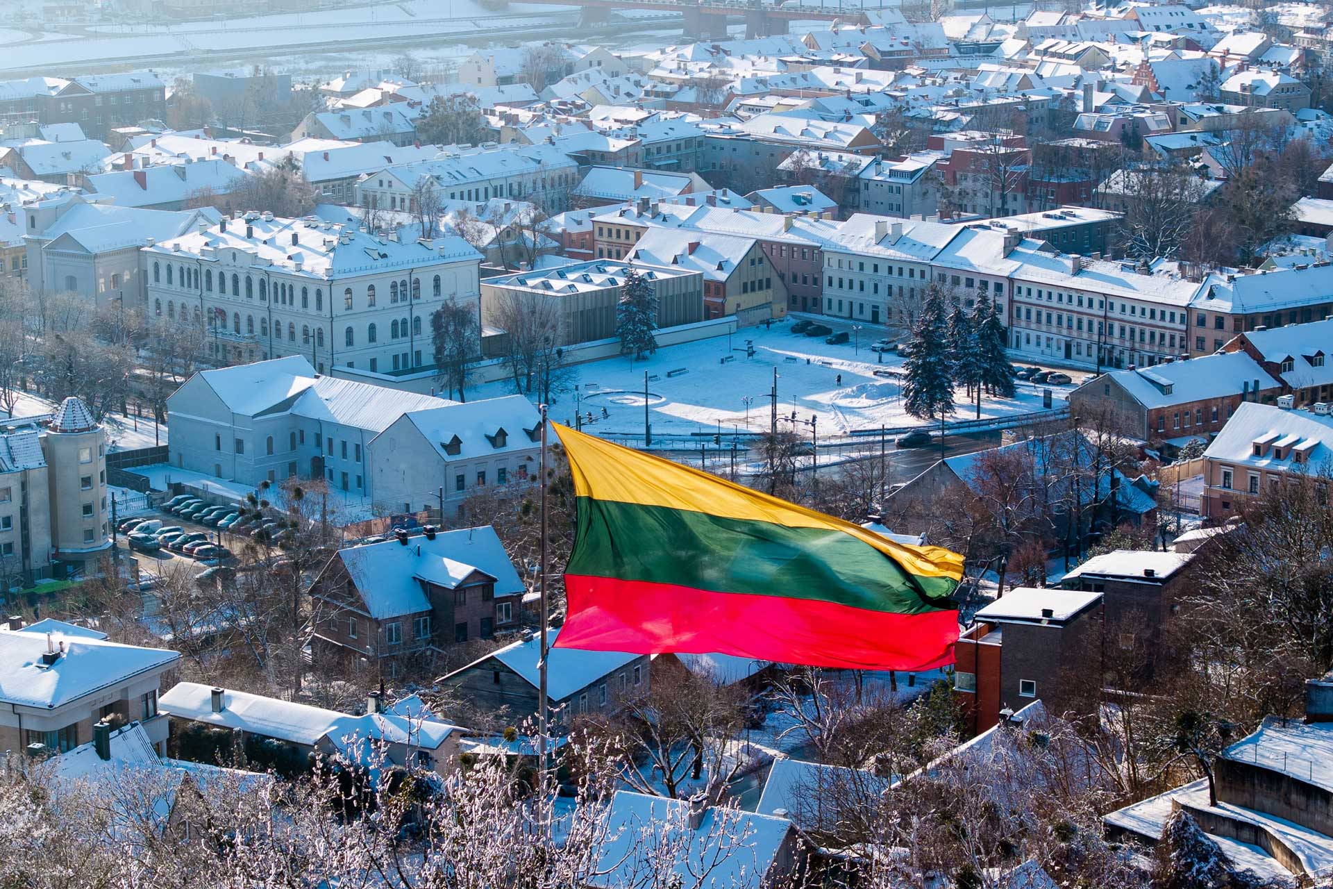 Lithuanian legislation defines several categories of foreign nationals