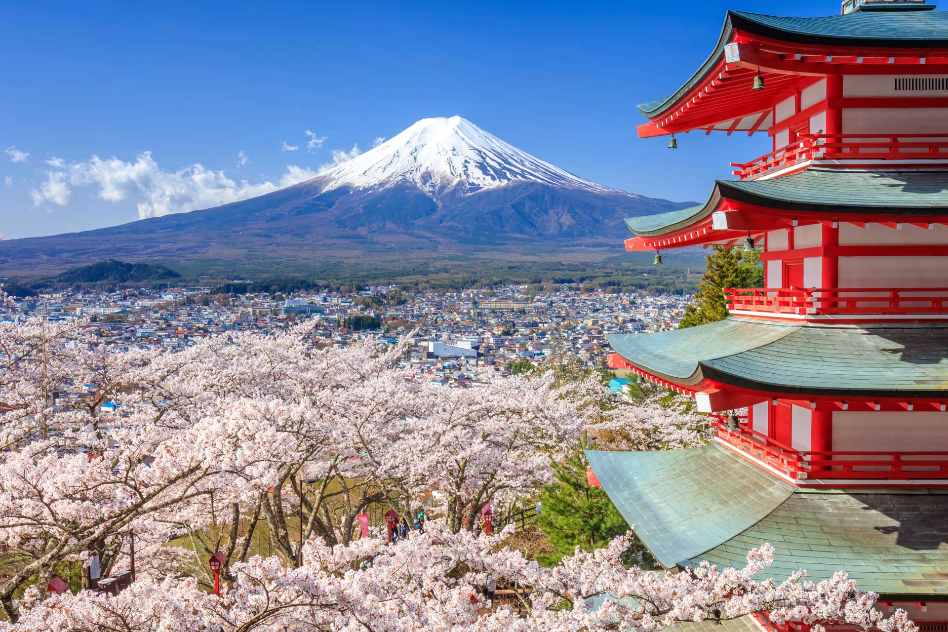 How to Get Japanese Citizenship